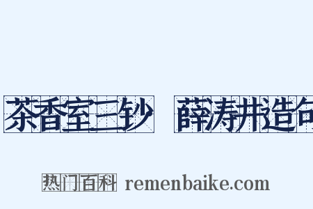 茶香室三钞·薛涛井造句是什么意思的图片